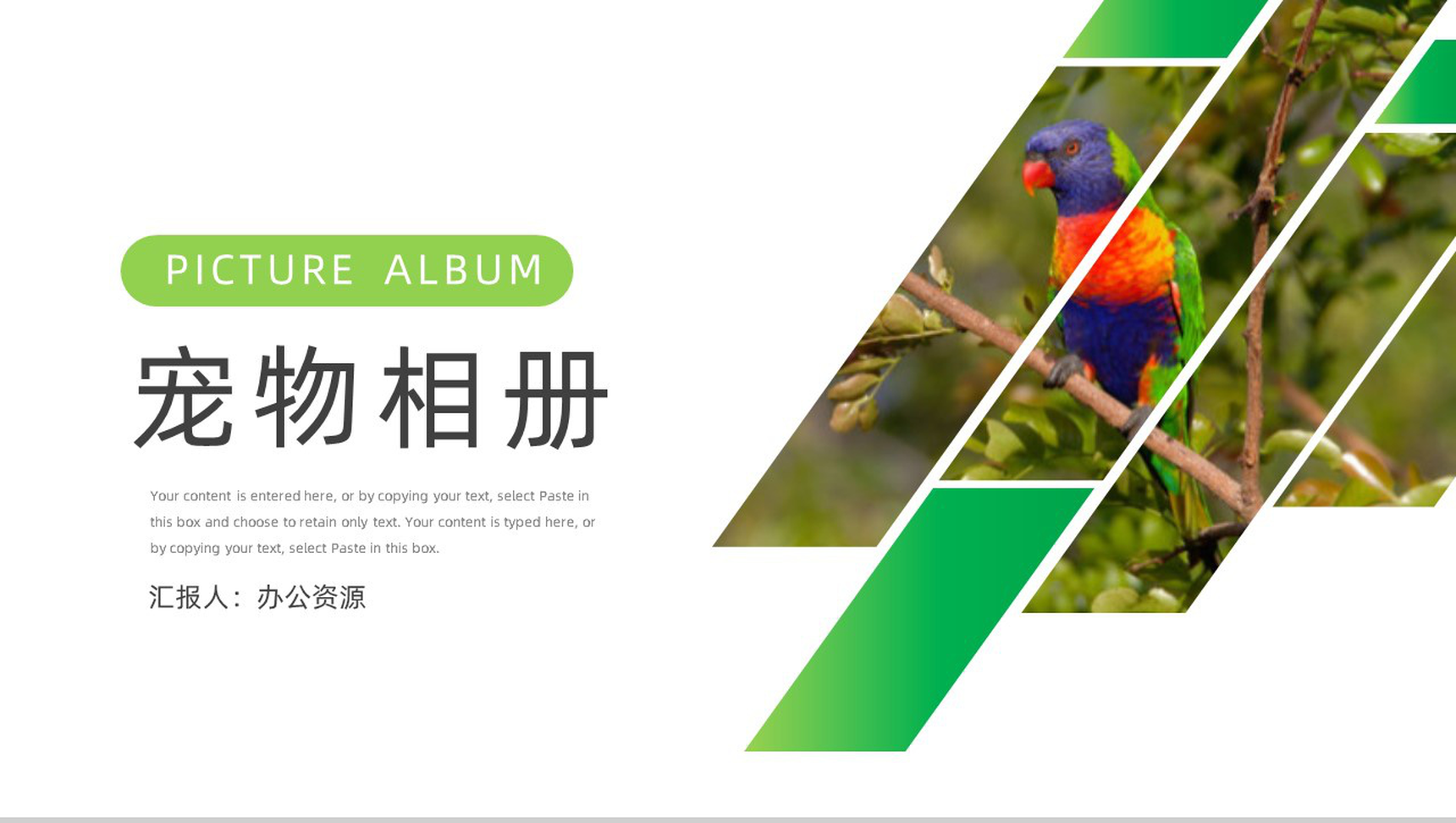 创意可爱卡通宠物相册PPT模板