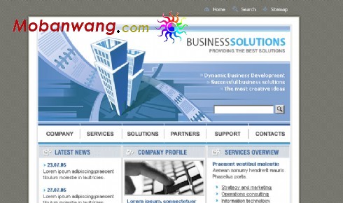 商务公司网络服务网页模板
