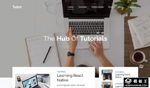 专业视频教程展示响应式网页模板