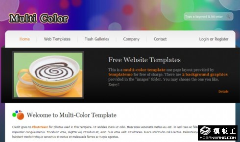 多彩信息介绍展示网页模板