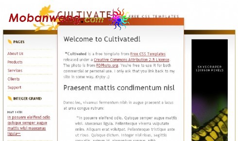 种植信息网页模板