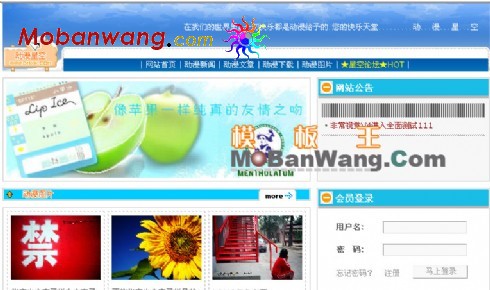 动漫文章网站模板