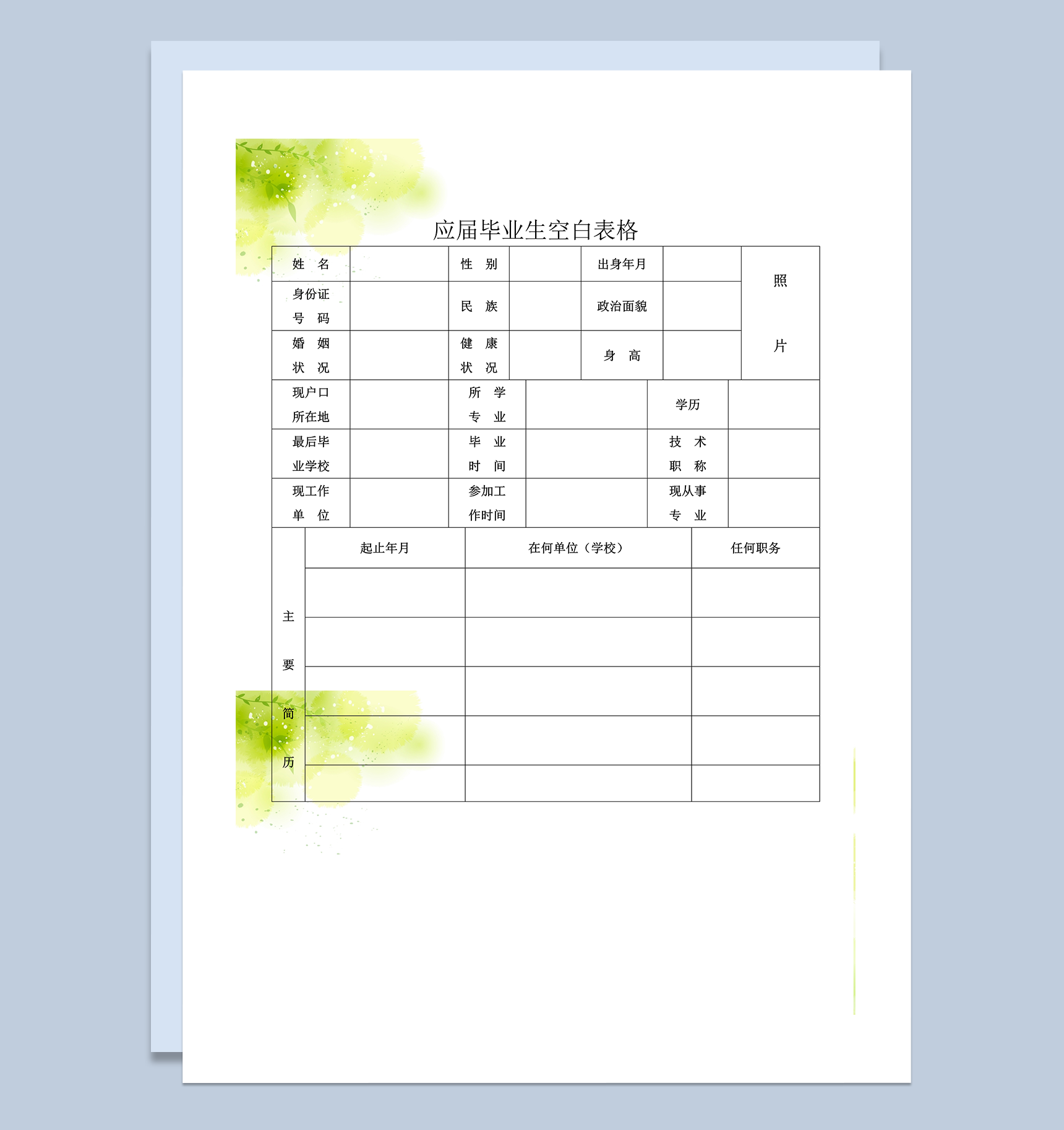 清新简洁应届生求职应聘简历word模板