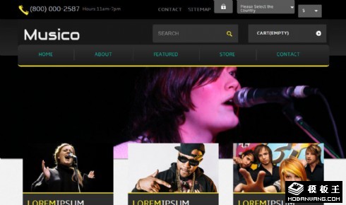 演唱会介绍动态网页模板