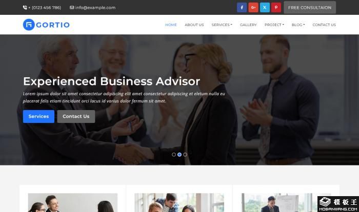 专业商业咨询与服务展示平台网站模板