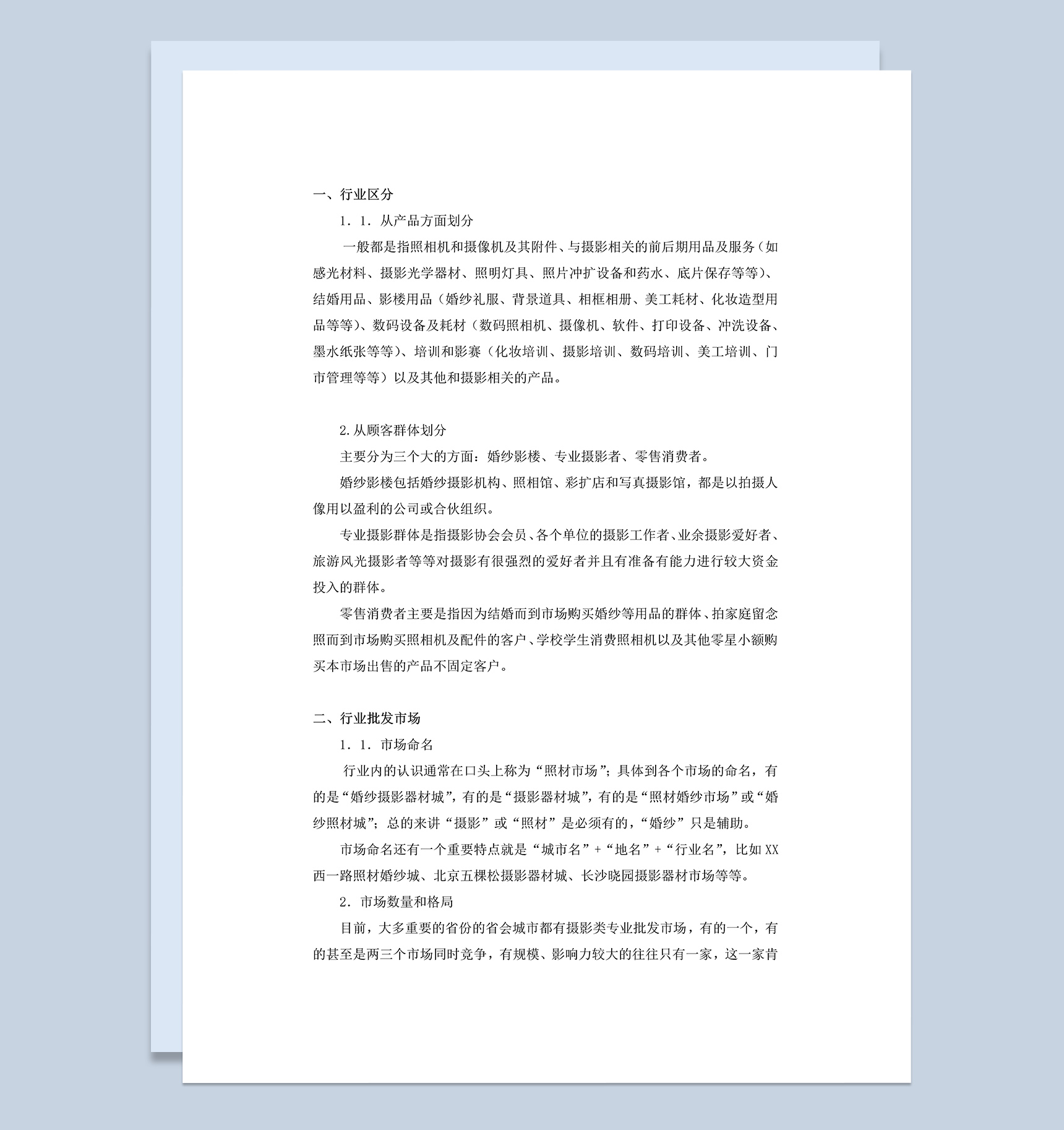 XX婚纱摄影器材城商业项目计划书Word模板