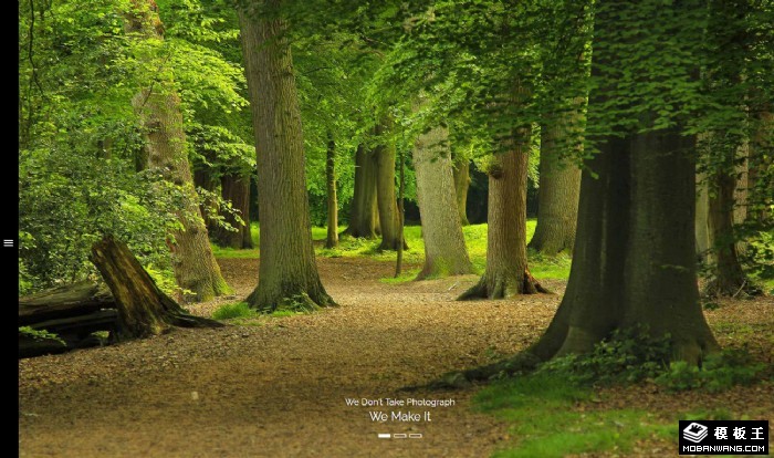 摄影大片展示网站模板