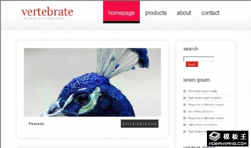 白色阴影框BLOG网页模板