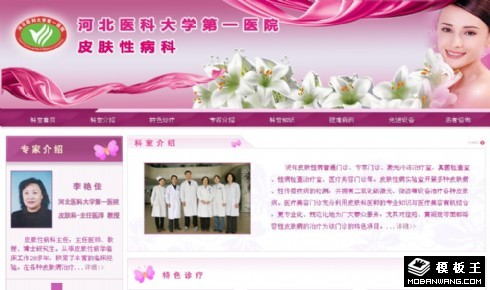 医院皮肤科网页模板