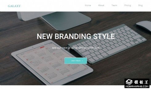 简洁团队服务项目响应式网页模板