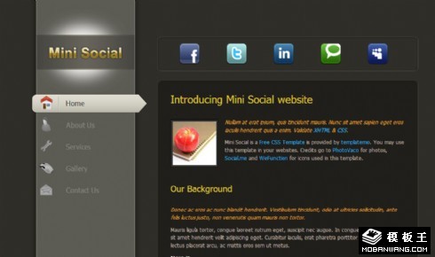 灰黑简单信息介绍网页模板