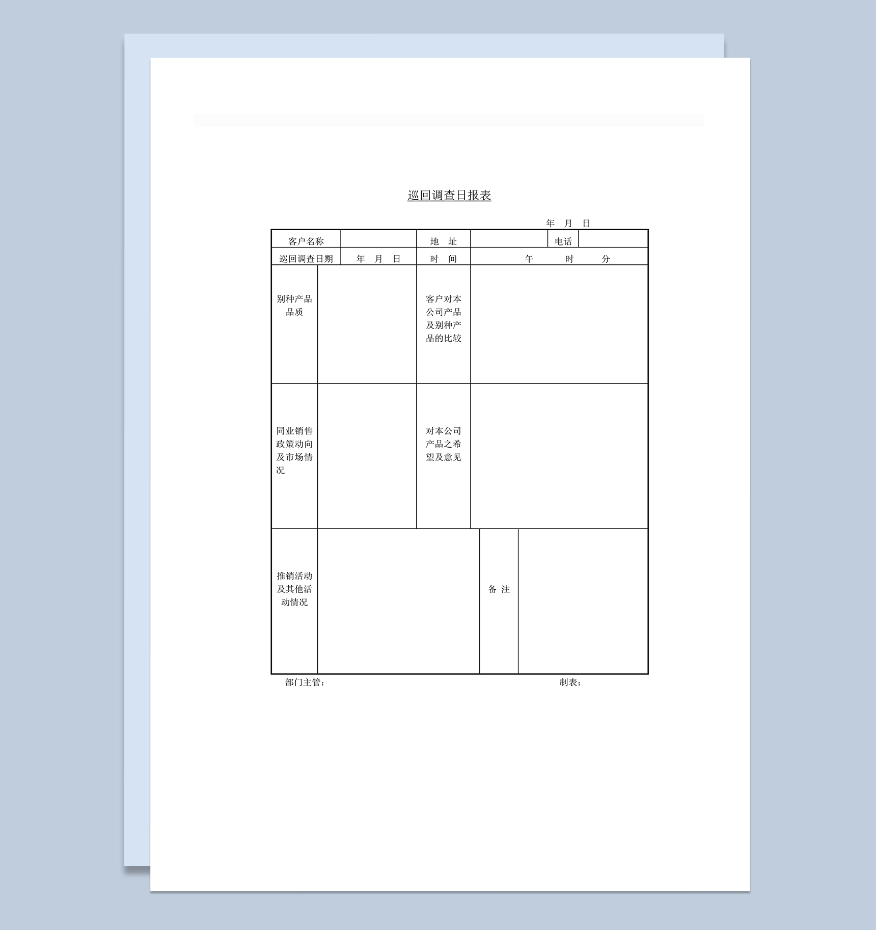 巡回调查日报表word模板