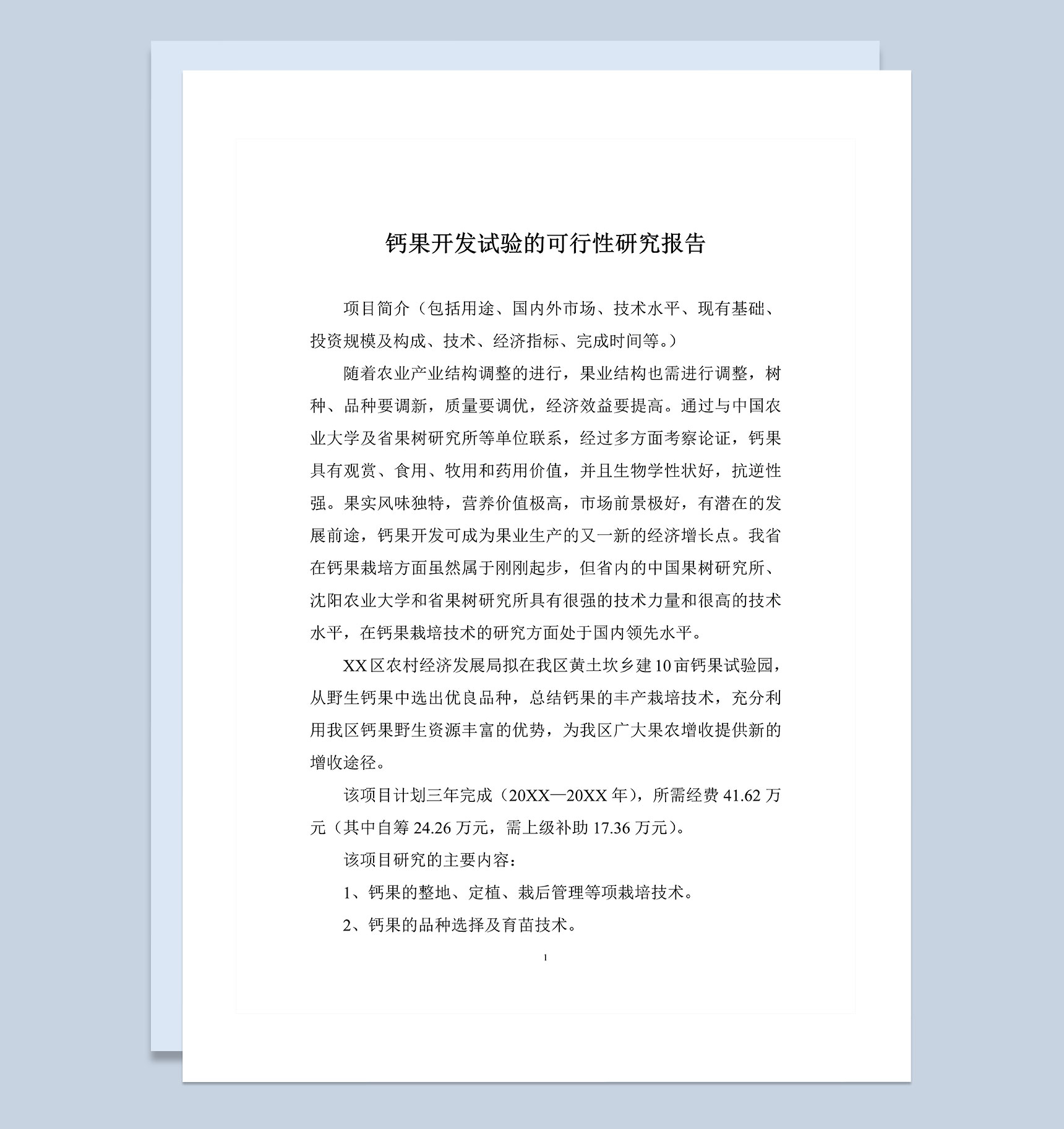 钙果开发试验的可行性研究报告Word模板
