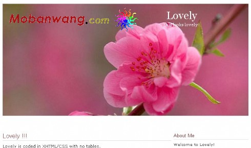 牡丹爱情日志网页模板