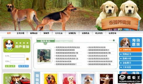 宠物狗公司信息网页模板
