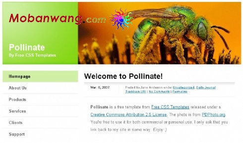 勤劳的蜜蜂BLOG网页模板