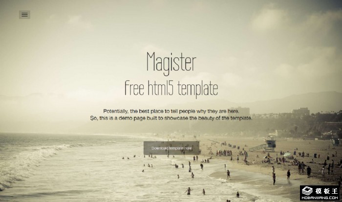 单页品牌信息展示网页模板