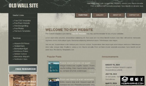 斑驳旧墙风格信息网页模板