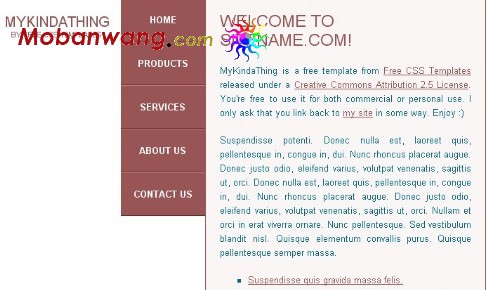 我的一些事个人网页模板