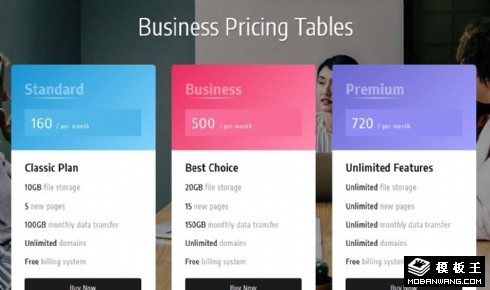业务参数定价表网页模板