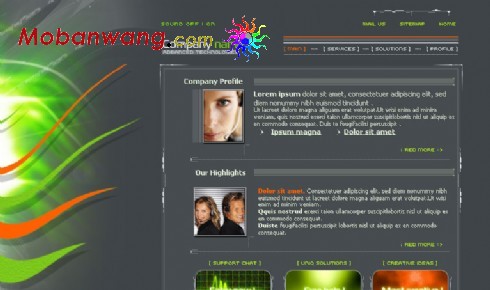 灰色整站FLASH网站模板