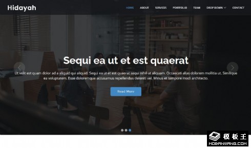 商业团队项目展示响应式网页模板