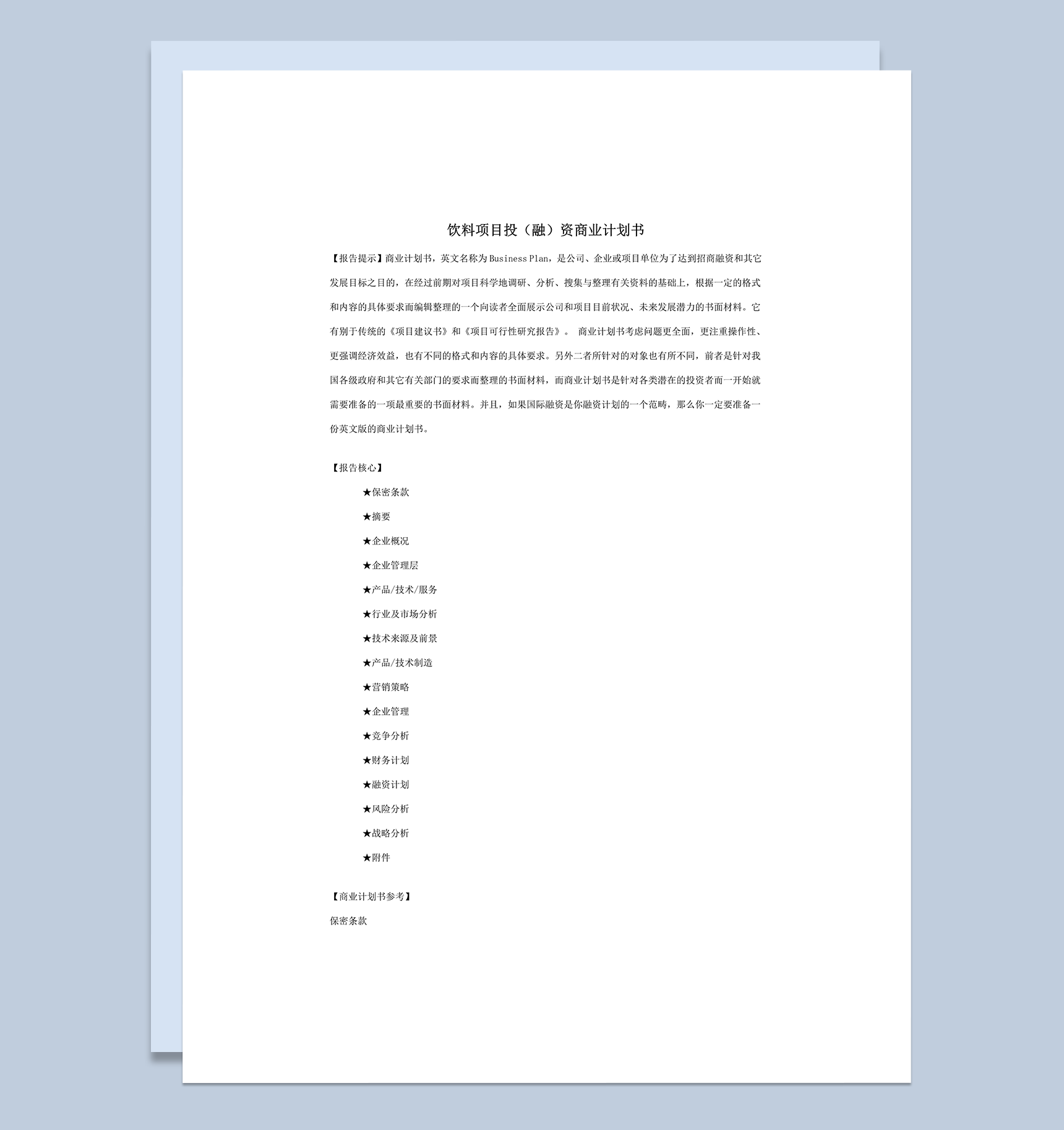 饮料项目投融资商业计划书word模板