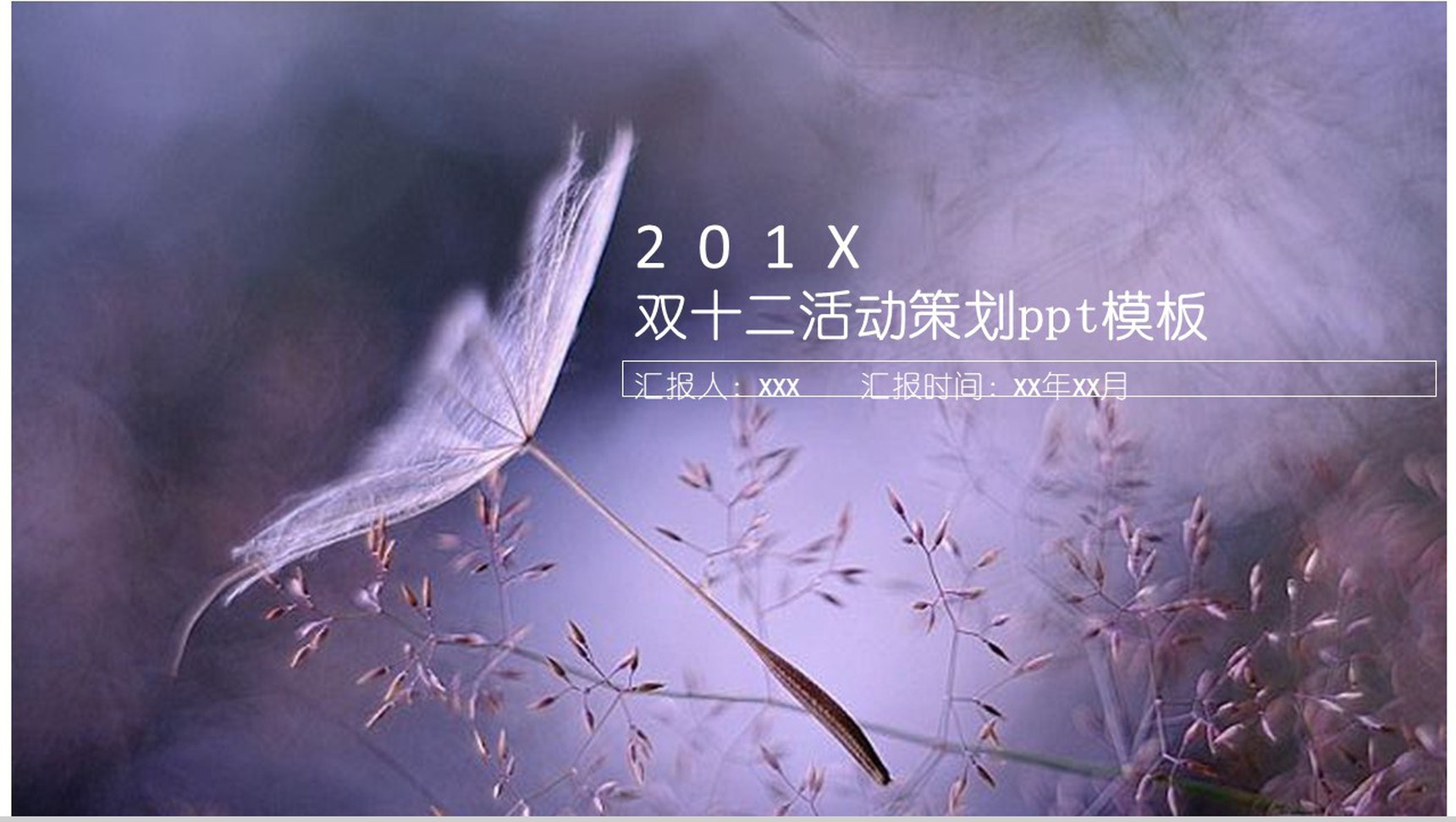 精美高端文艺双十二活动策划方案汇报PPT模板