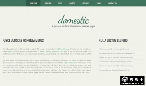 动态服务信息网站模板