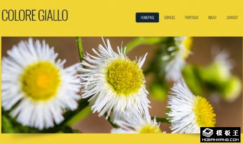 黄色鲜花介绍网页模板