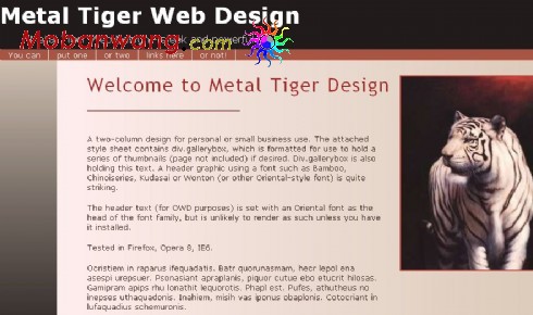 金属虎信息介绍网页模板