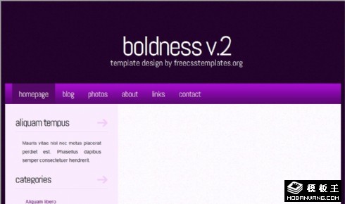 魄力-紫梦信息网页模板