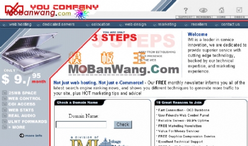 欧美网络公司网页模板