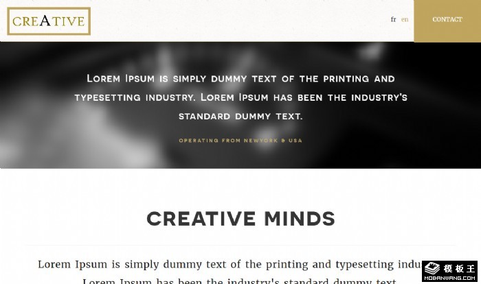 创造性团队思维展示网页模板