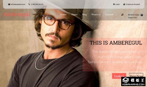 设计师服饰品牌商城响应式网页模板