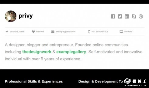 个人常用工具日志响应式网页模板