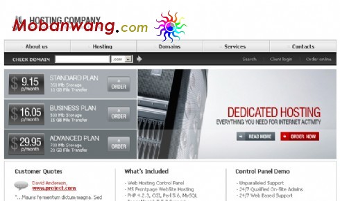 虚拟主机销售网络公司网页模板