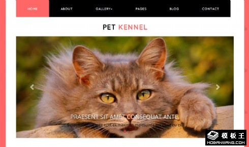宠物乐园响应式网站模板