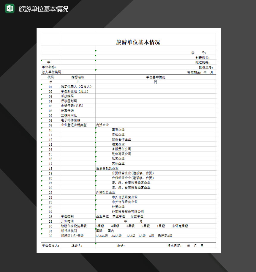旅游单位基本情况Excel模板
