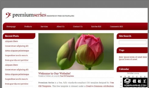 枣红导航信息网页模板