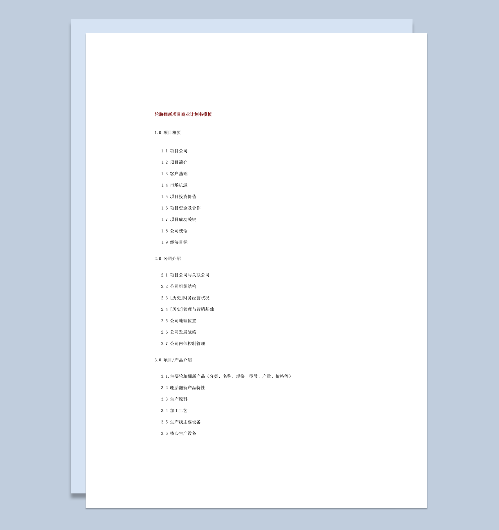 轮胎翻新项目商业计划书模板word模板