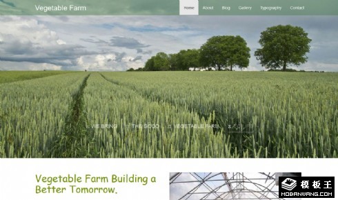 果蔬大棚农场响应式网页模板