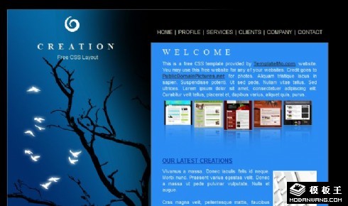 暗夜枝头信息网页模板