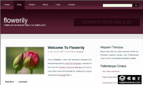 花类介绍信息网页模板