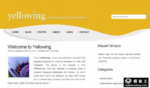 黄色波浪BLOG网页模板