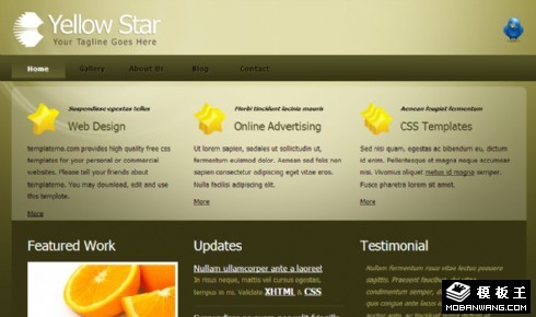 金绿光泽信息网页模板