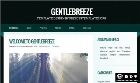 森绿日志信息网页模板