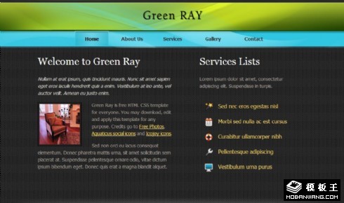 极光信息介绍网页模板