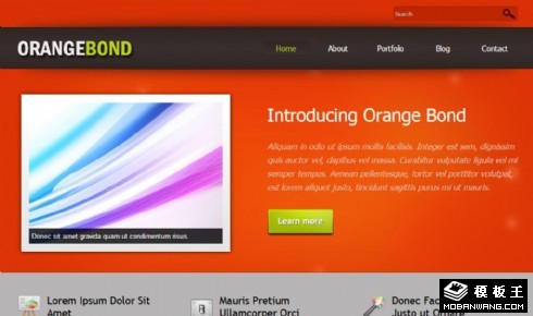 橙色业务信息网页模板