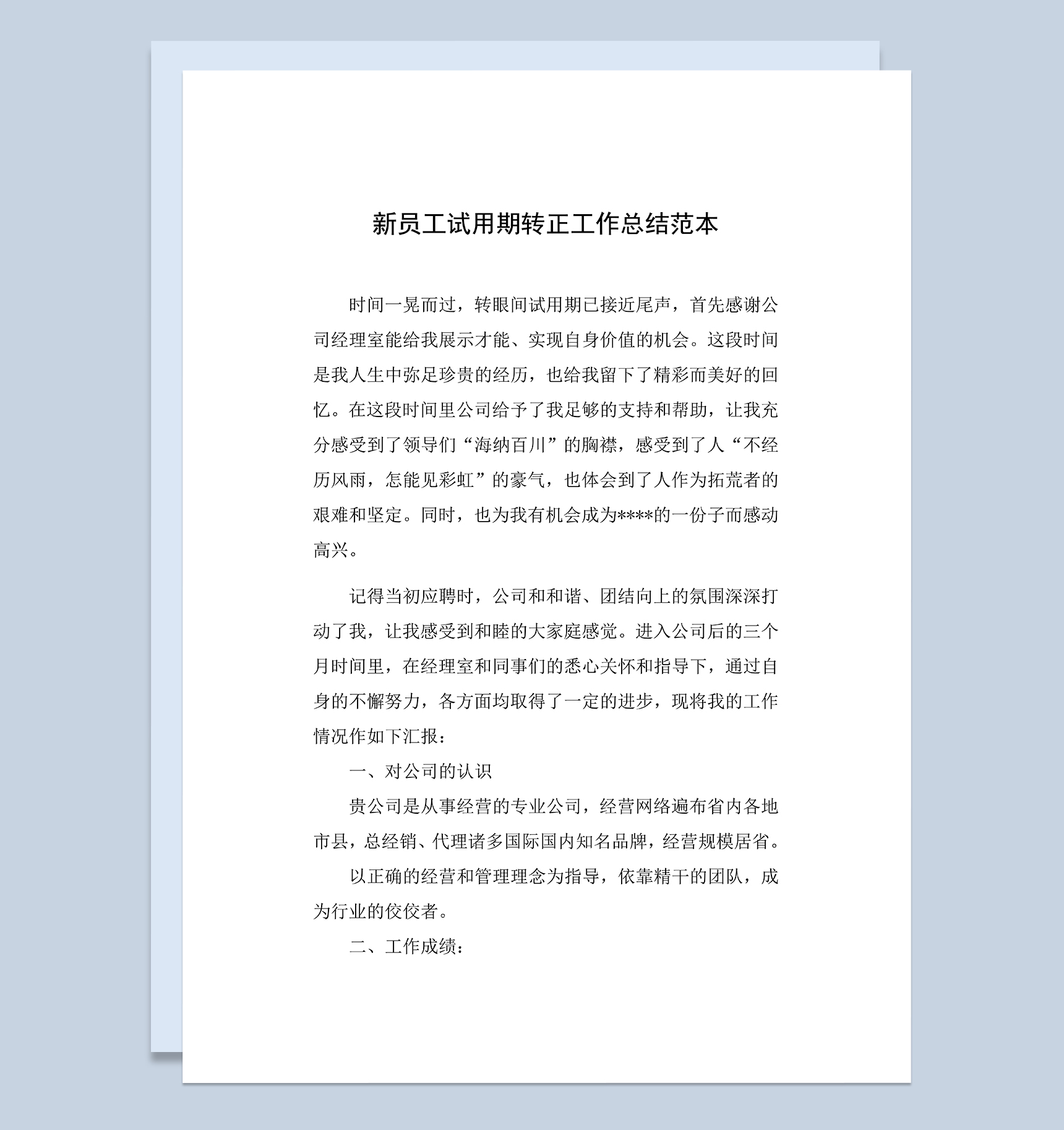 企业新员工试用期转正年终工作总结范本Word模板